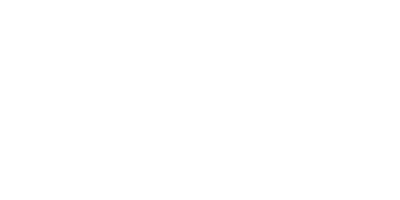 Fluz